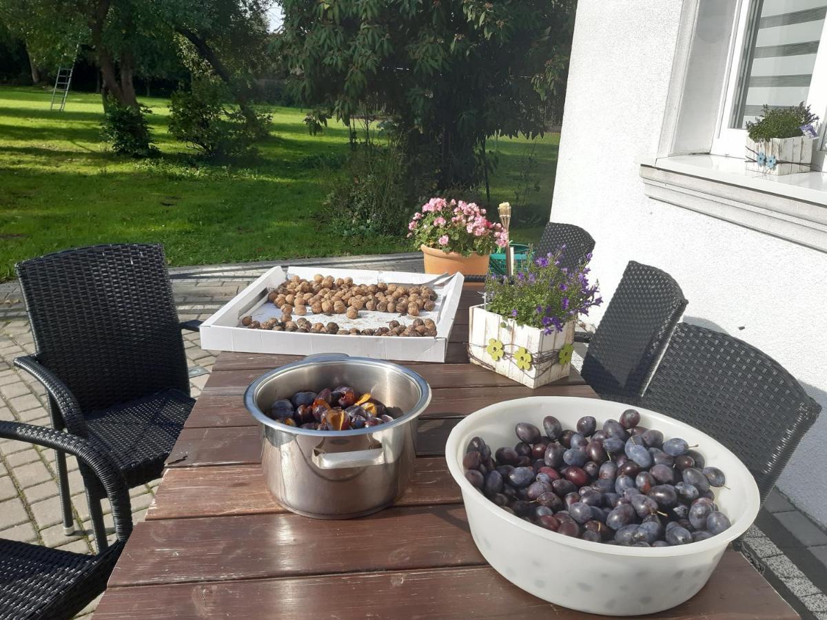 Dworek Natury Strzezenice Exteriör bild